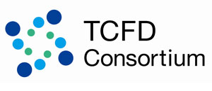 TCFD󥽡